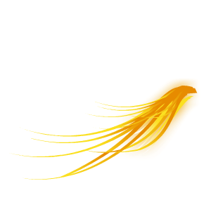 Plucked Plumage