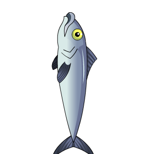 Fish