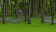 Vale Area11