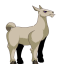 Llama