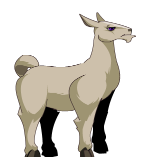 Llama